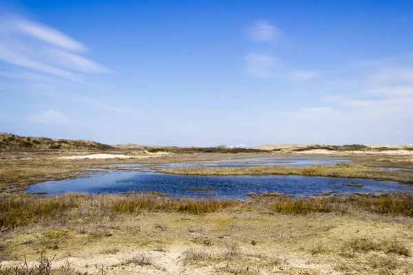 Sjön, national park zuid kennemerland, Nederländerna — Stockfoto