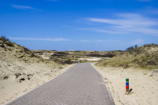 Велосипедная дорога в голландском заповеднике — стоковое фото