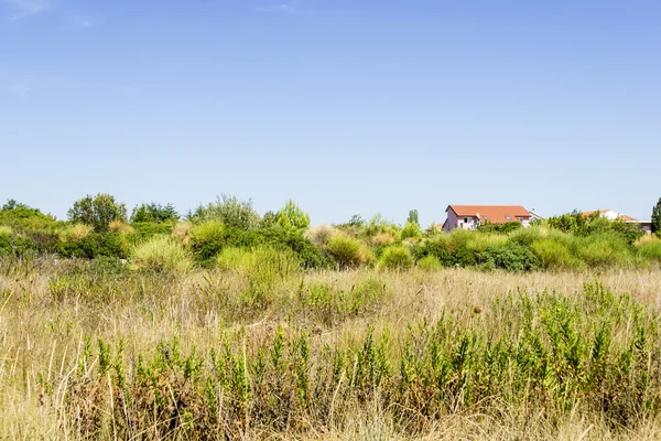 Línea costera cerca de Seget Vranjica, Croacia — Foto de Stock