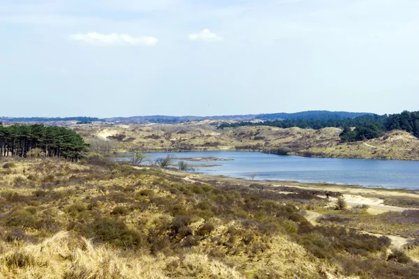 Sjöar, national park zuid kennemerland, Nederländerna — Stockfoto