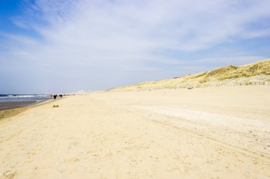 plaj Kuzey Denizi, Hollanda