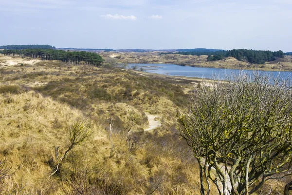 Jezior, Parku Narodowego zuid kennemerland, Holandia — Zdjęcie stockowe