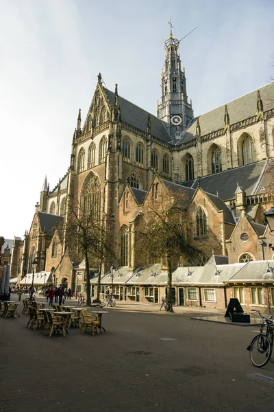 St. bavo kościoła lub "grote kerk" haarlem, Holandia — Zdjęcie stockowe