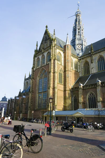 St bavo kerk of "grote kerk" haarlem, Nederland — Stockfoto