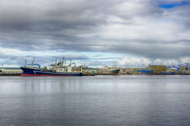 bağlantı noktası, reykjavik, İzlanda