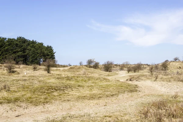 Paisaje de arena, Parque Nacional Zuid Kennemerland, Países Bajos — Foto de Stock