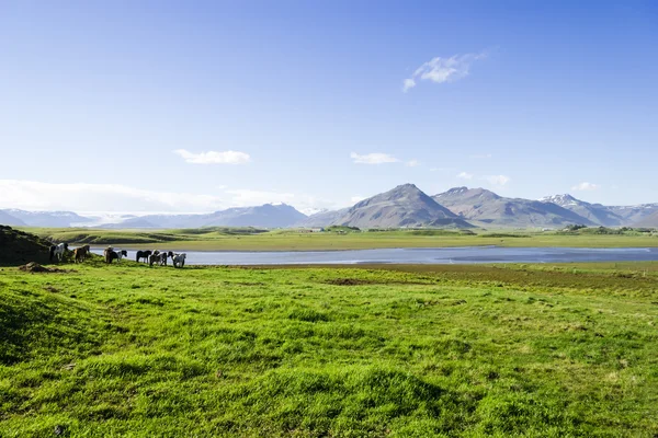 山背景、アイスランド、良い夏に対して美しい湖 — ストック写真