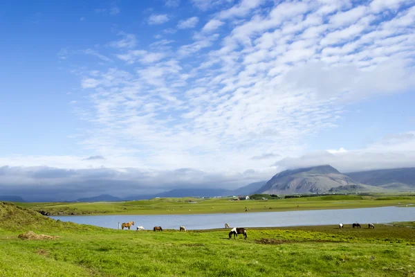 Schöner See vor Bergkulisse, Island, guter Sommer — Stockfoto