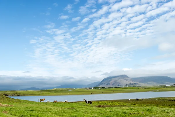 karşı dağın arka plan, İzlanda, iyi yaz güzel göl
