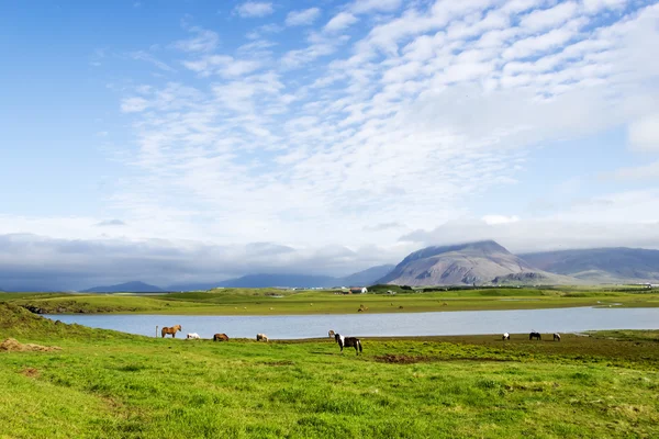 Bellissimo lago sullo sfondo della montagna, Islanda, buona estate — Foto Stock