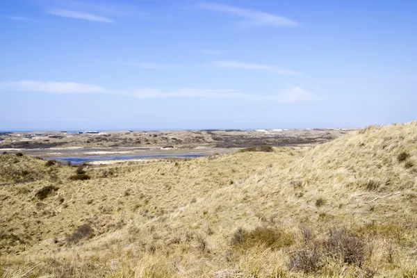 Paisagem de areia, Parque Nacional Zuid Kennemerland, Países Baixos — Fotografia de Stock