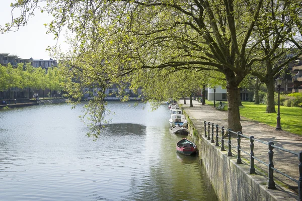 典型的荷兰运河景观用水、 树、 草和船 — 图库照片