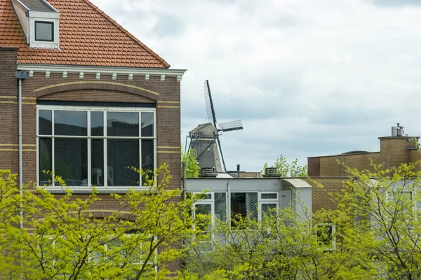 I bostadsområde, amsterdam, Nederländerna — Stockfoto