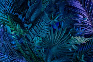 Abstract tropical  background with young green palm leaves. Flat lay with neon lightning in minimal style.