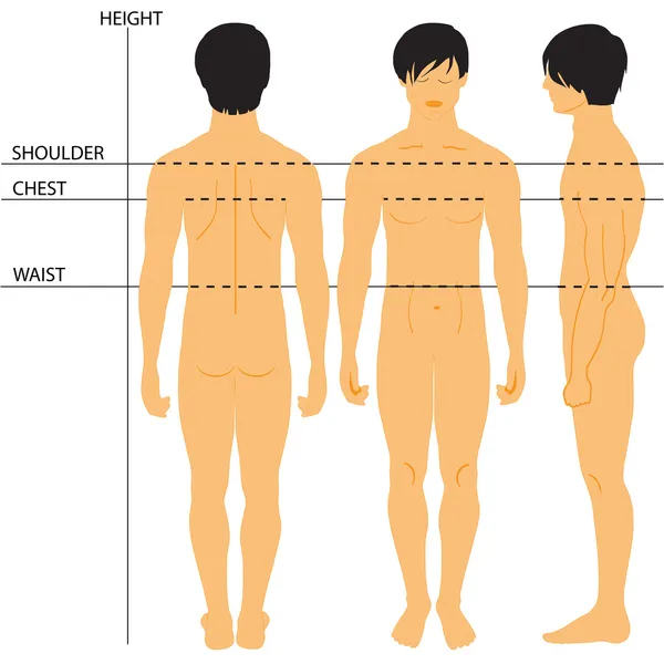 Διάγραμμα μεγέθους των ανδρών — Διανυσματικό Αρχείο