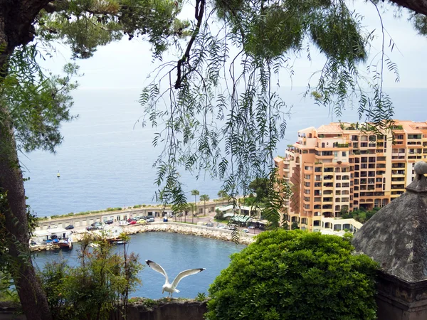 Monaco harbor — Stock Fotó