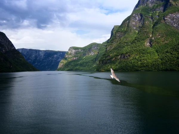 Søgne fjord — Stockfoto