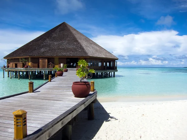 Ilha tropical. Maldivas — Fotografia de Stock
