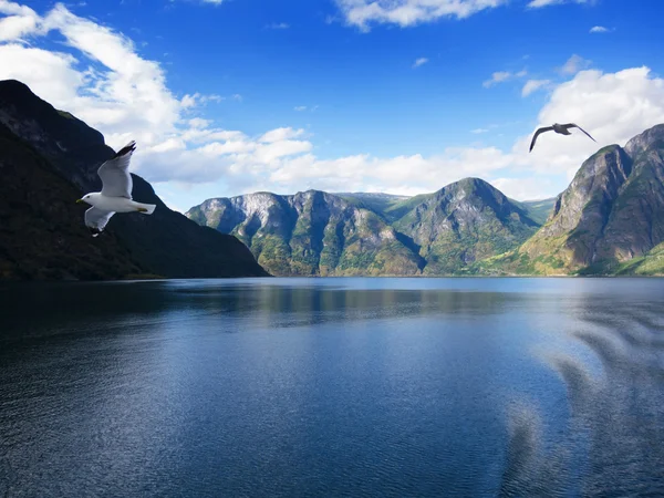 Sogne fjordu, Norsko — Stock fotografie