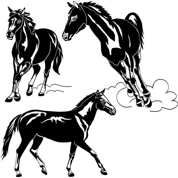 Caballos — Vector de stock