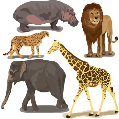Set With African Animals clipart