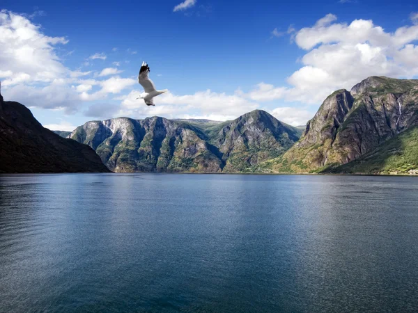 Søgne fjord, Noorwegen — Stockfoto