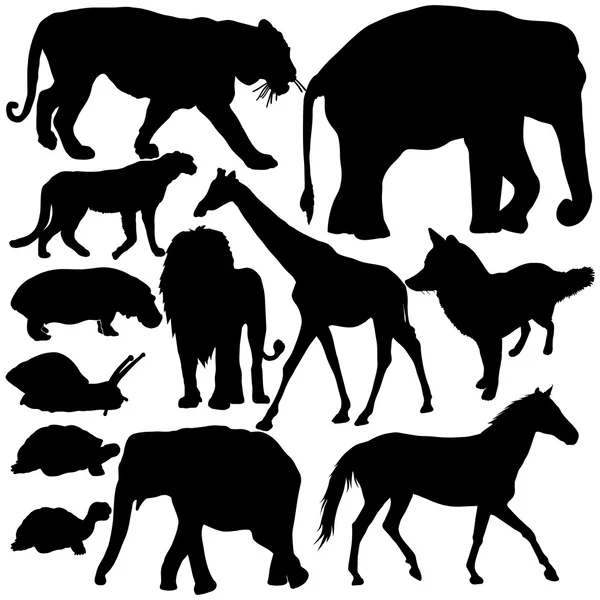 Silhouette degli animali — Vettoriale Stock