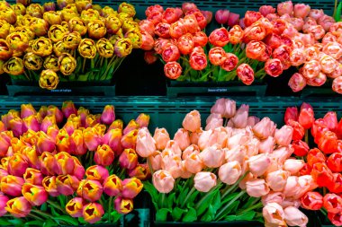 Buket renkli Lale ile