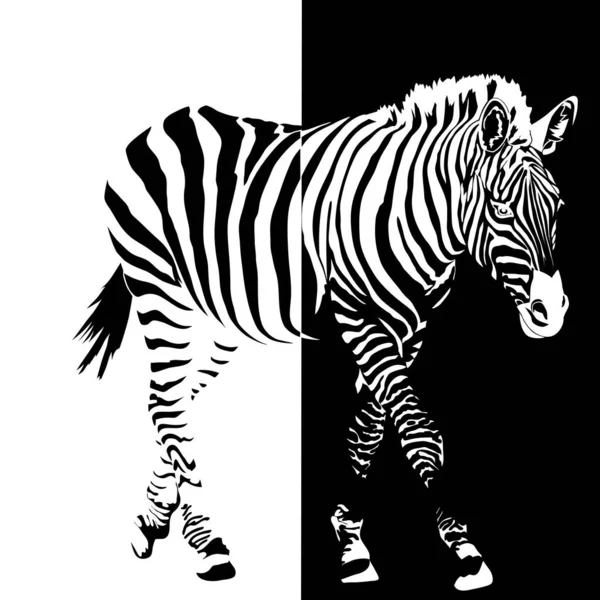 Noir et blanc — Image vectorielle