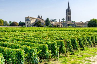 Vineyards of Saint Emilion village clipart