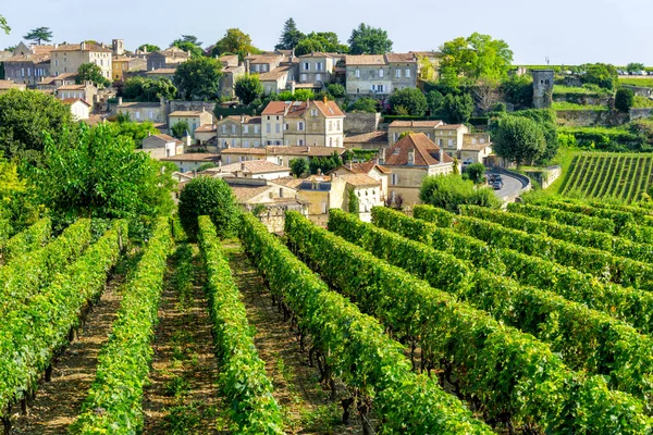 Weinberge des Dorfes Saint Emilion — Stockfoto