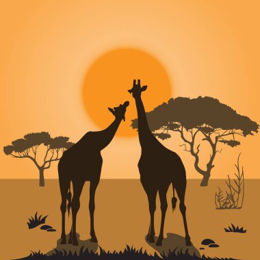 gün batımında Afrika peyzaj