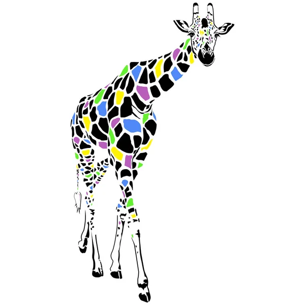 Multicolored giraffe animal — Stock Vector