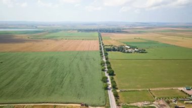 Romanya 'nın kuzeyindeki Dobruja kentindeki güzel bir kır yolunun hava manzarası
