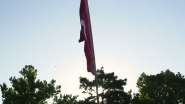 Turkish flag waved by a supporter
