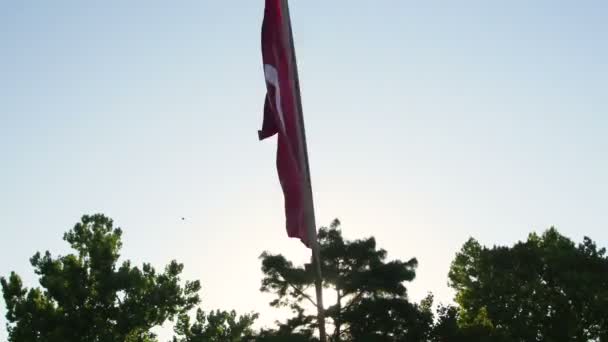 Turkish Flag Waved Supporter — Video Stock