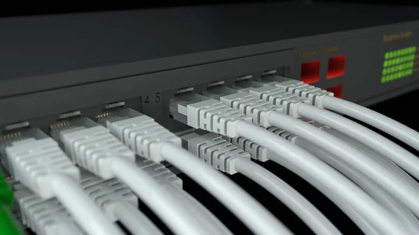 Rendering Network Switch Ethernet Cables — Zdjęcie stockowe