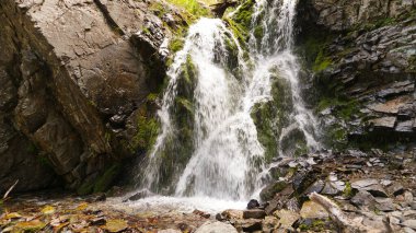 Şelaleden kayalara, kütüklere sıçramış..