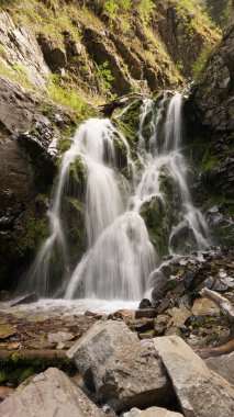 Şelaleden kayalara, kütüklere sıçramış..