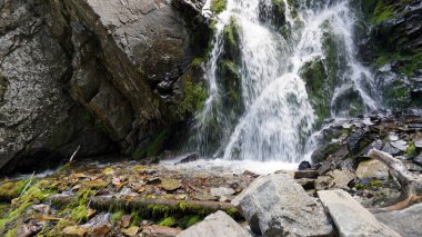 Şelaleden kayalara, kütüklere sıçramış..