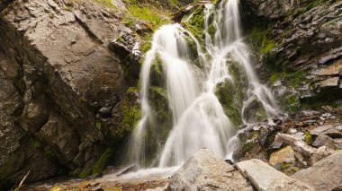 Şelaleden kayalara, kütüklere sıçramış..