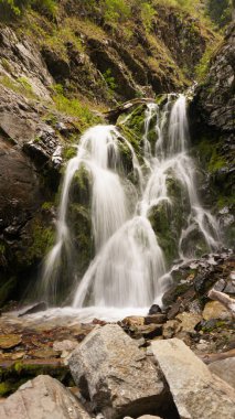 Şelaleden kayalara, kütüklere sıçramış..