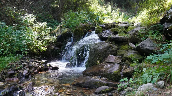 Ein kleiner Wasserfall in einem Bergwald. — Stockfoto
