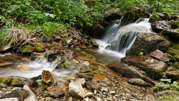 Bir dağ ormandaki küçük bir şelale.