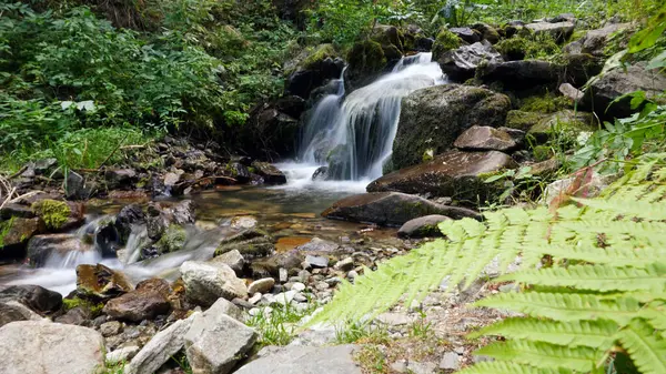 Ein kleiner Wasserfall in einem Bergwald. — Stockfoto