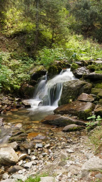 Uma pequena cachoeira em uma floresta de montanha . — Fotografia de Stock