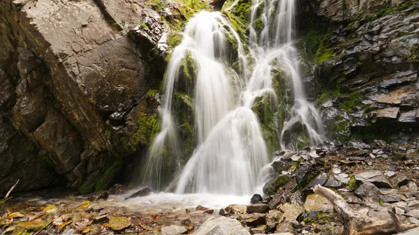 Salpicaduras de la cascada en las rocas, troncos. — Foto de Stock