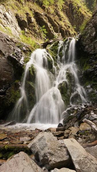 Şelaleden kayalara, kütüklere sıçramış..