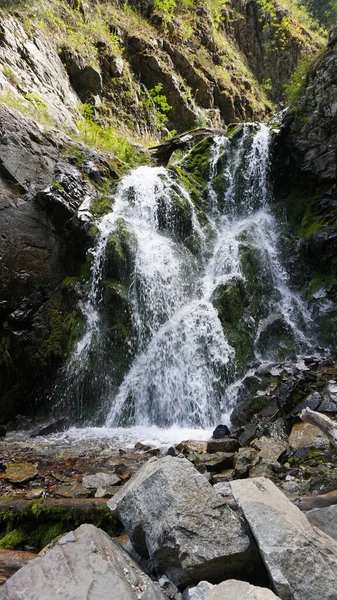 Salpicaduras de la cascada en las rocas, troncos. — Foto de Stock