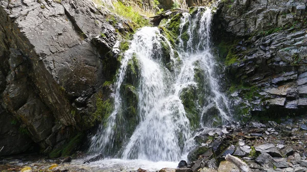 Salpicos da cachoeira caem sobre rochas, troncos. — Fotografia de Stock